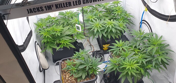 Growreport Bild 14
