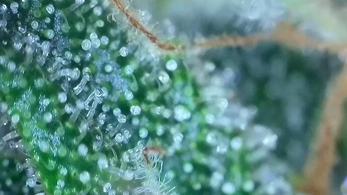 signal-2022-10-25-191504_002