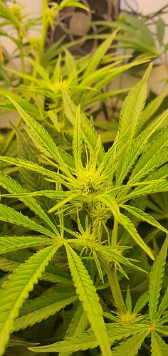 Growreport Bild 7