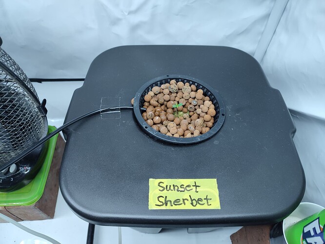 Growreport Bild 19