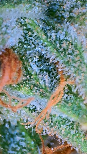 2022_03_06_18_43_45_098