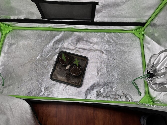 Growreport Bild 3