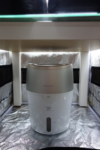 Ein weißer und silberner Philips Luftbefeuchter steht auf einer reflektierenden Unterlage unter einer Lampe.