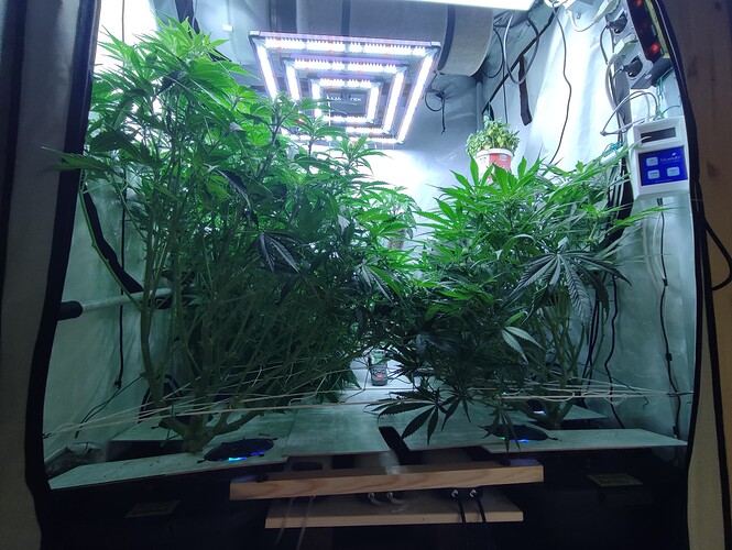 Growreport Bild 15