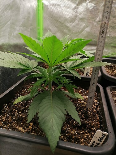 Growreport Bild 10