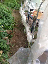 Growreport Bild 7