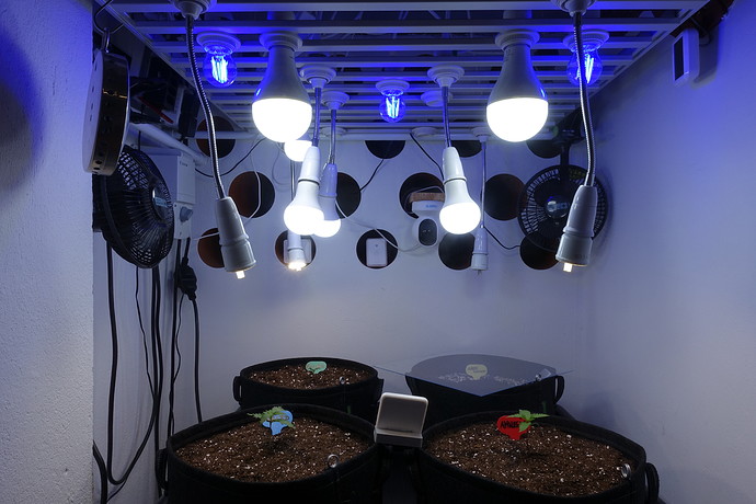 Growreport Bild 15