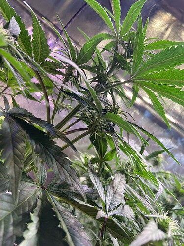 Growreport Bild 6