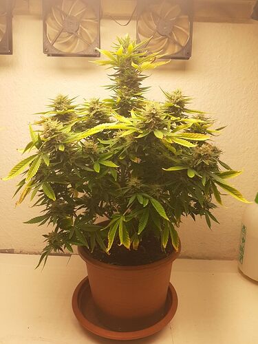 Growreport Bild 14
