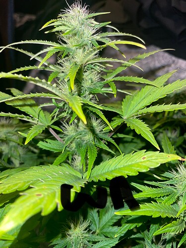 Growreport Bild 14