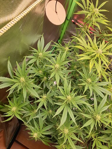 Growreport Bild 4