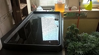 Growreport Bild 1