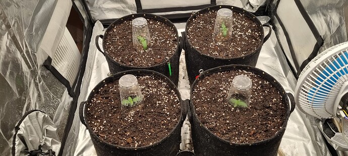 Growreport Bild 10