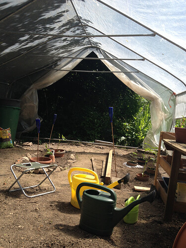 Growreport Bild 3