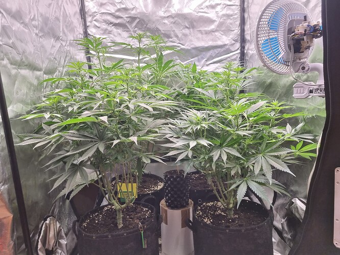 Growreport Bild 13