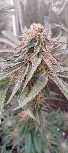 20220109_060445