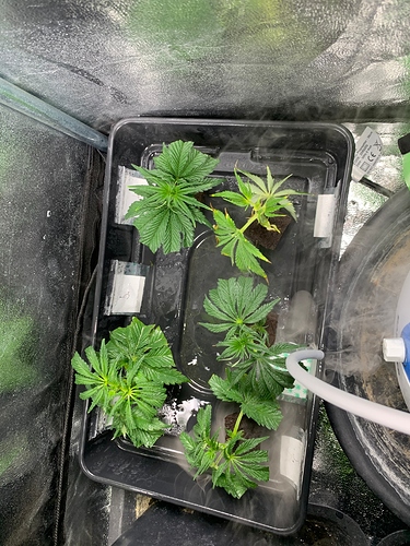 Growreport Bild 15