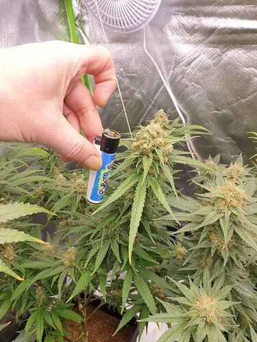 Growreport Bild 15