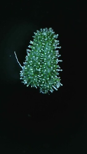 2022_04_01_06_25_31_202