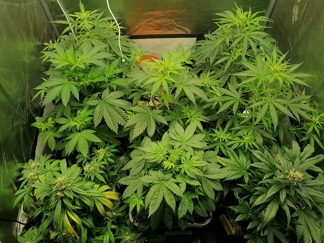 Growreport Bild 17