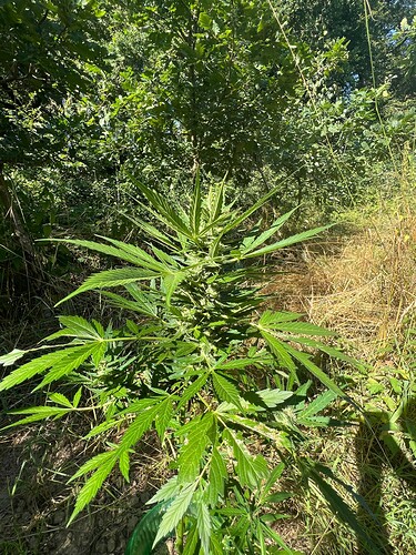 Growreport Bild 10