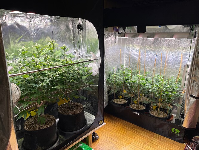 Growreport Bild 6