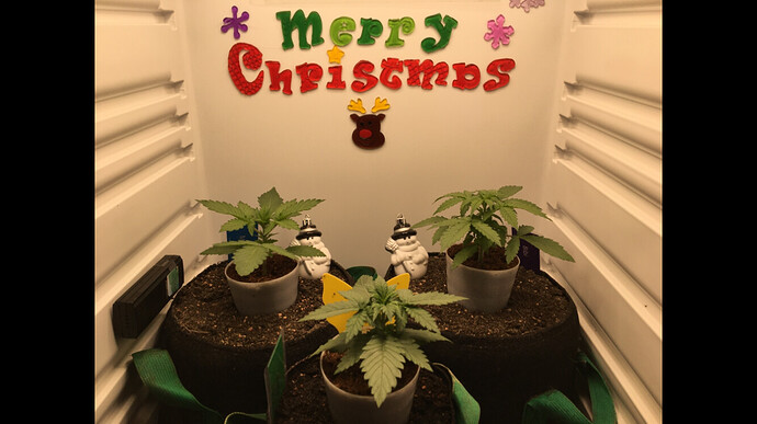 Growreport Bild 22