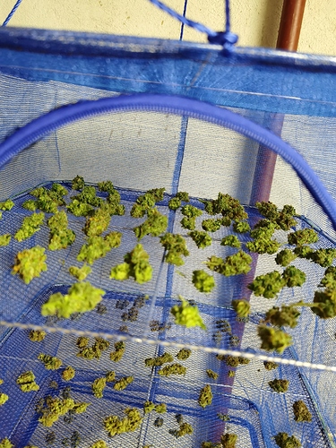 Growreport Bild 5