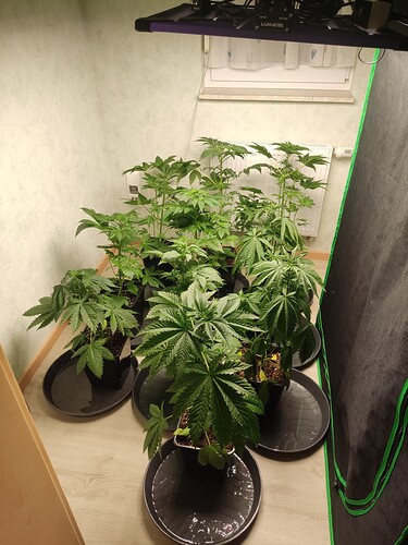 Growreport Bild 14