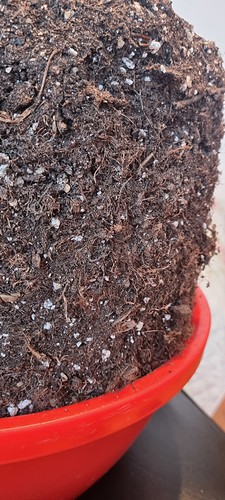 Growreport Bild 10