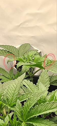 Growreport Bild 5