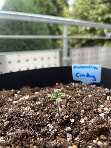 Growreport Bild 13