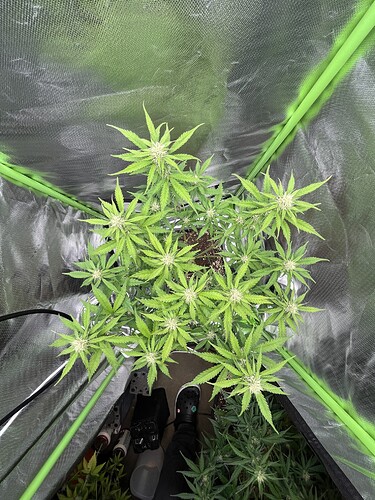 Growreport Bild 7