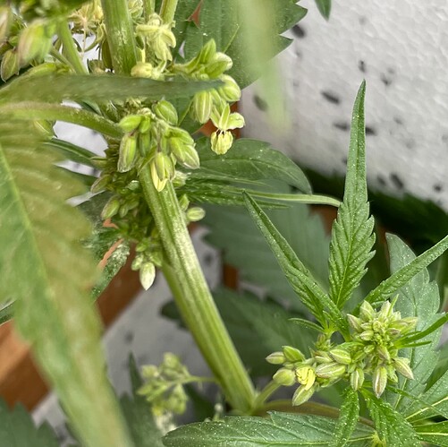 Growreport Bild 1