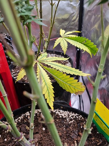 Growreport Bild 21