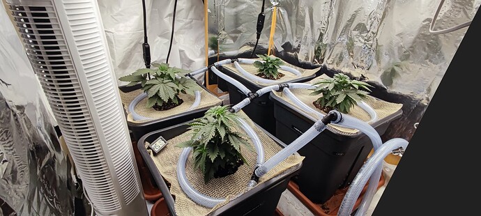Growreport Bild 9