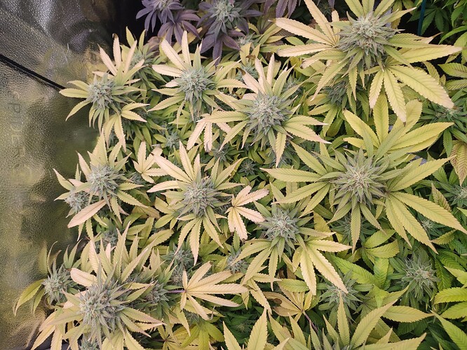 Growreport Bild 2