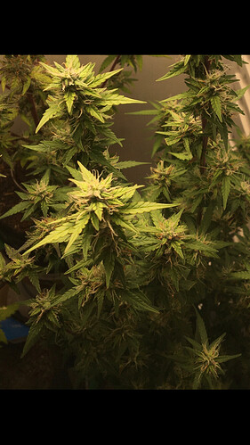 Growreport Bild 14