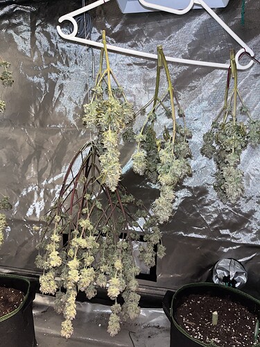 Growreport Bild 3
