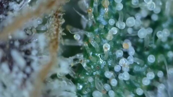 2022-06-25-033426524