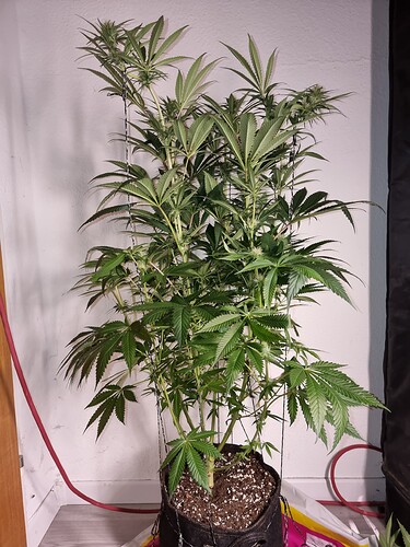 Growreport Bild 6