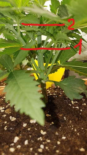 Inked20201102_183556_LI