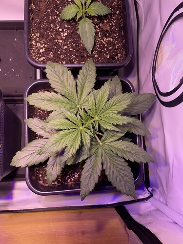 Growreport Bild 21