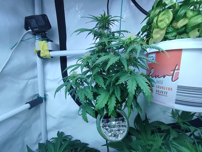 Growreport Bild 22