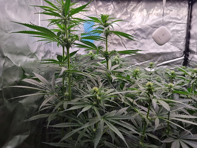 Growreport Bild 13