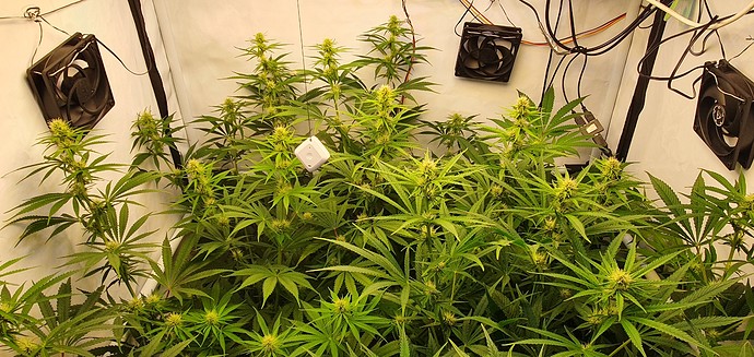 Growreport Bild 8