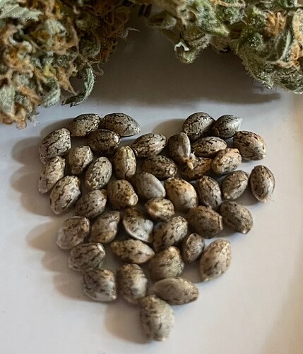 Growreport Bild 10