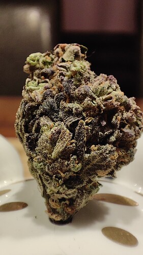 Growreport Bild 6
