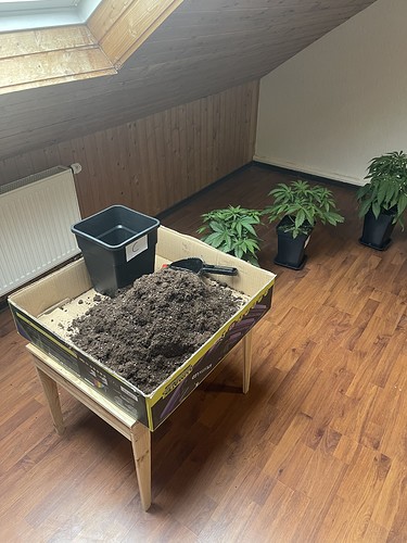 Growreport Bild 14