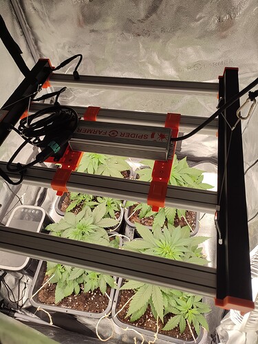 Growreport Bild 1